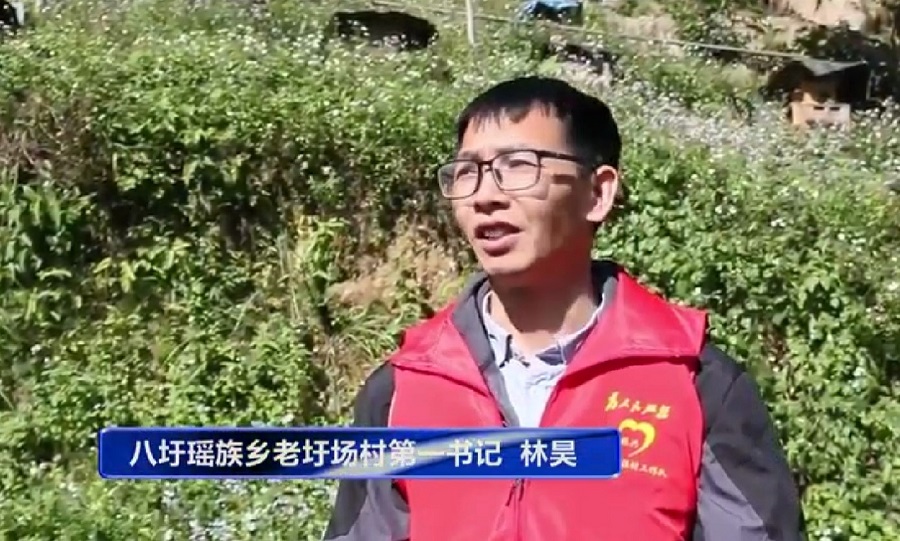 广西药检人物风采录第七期， 林昊：心系老圩场 共筑振兴路